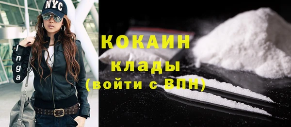 стаф Дмитриев