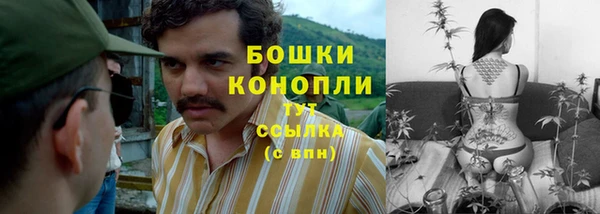 стаф Дмитриев