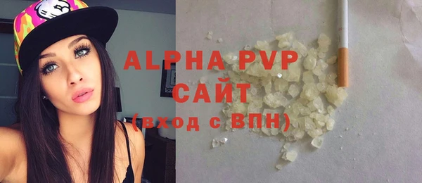 стаф Дмитриев