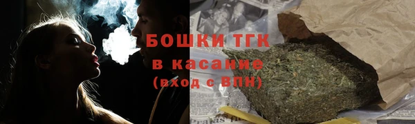 стаф Дмитриев