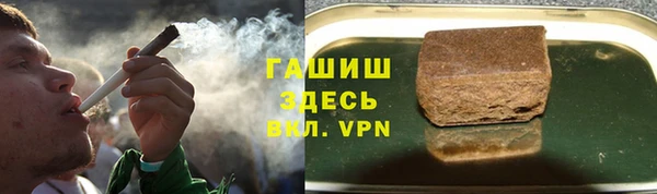 мдпв Гусев