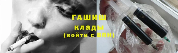 мдпв Гусев