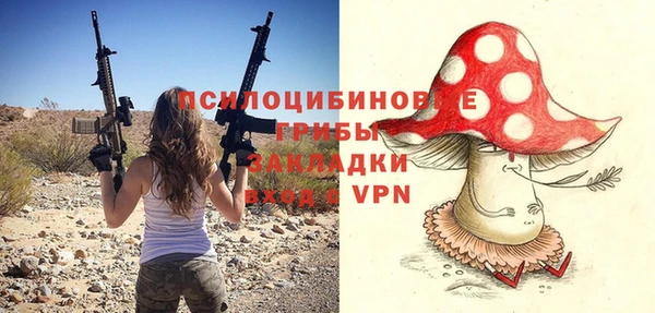 мдпв Гусев