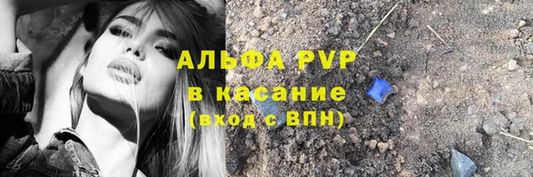 стаф Дмитриев