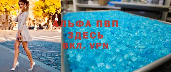 стаф Дмитриев